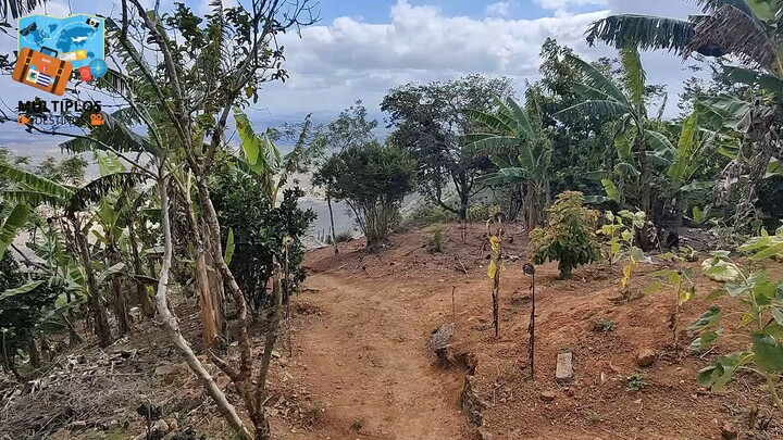 TAQUARITINGA DO NORTE - SERRA DO CUMBE - 12 10 2025