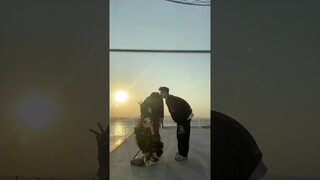 BL TikTok Video /소년 사랑 소년 /boy Love boy #boylove #blshorts #bltiktok #bl #boyloveboy #foryou #fyp