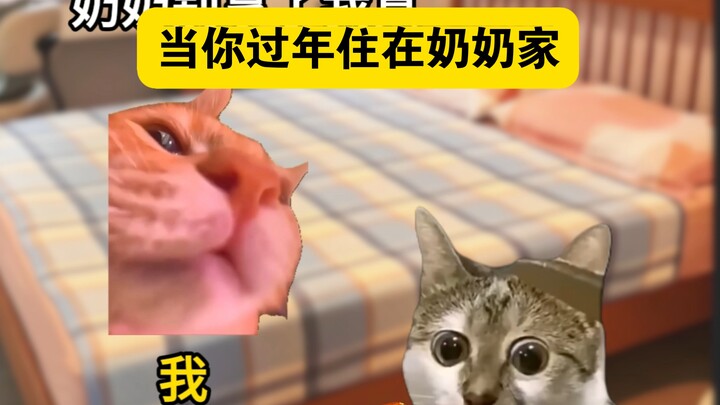 เมื่อคุณไปอยู่บ้านคุณย่าช่วงตรุษจีน