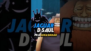Jaguar D Saul dan Elbaf #onepiece #onepieceterbaru #luffy