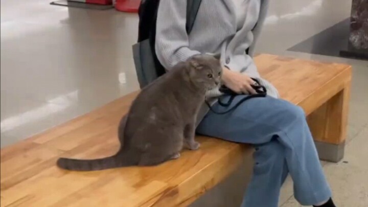 Model Subway Passenger