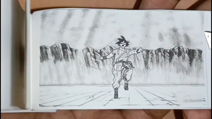 Hand-painted "Seven Dragon Ball" flip book!