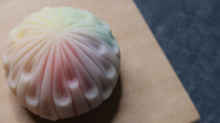 Wagashi - Dessert keahlihan tangan! (Mercun)