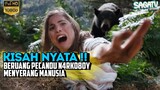 Alur Film Beruang Imut Penunggu Hutan Lindung - Ngupas Film C0c41n Bear (2023)