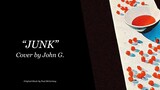 PAUL MCCARTNEY - Junk | COVER by JOHN G.
