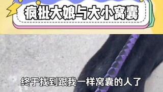 终于找到跟我一样窝囊的人了