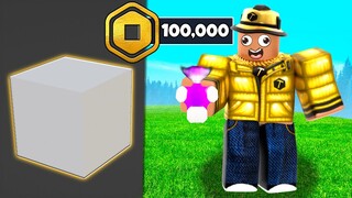 I Got 100,000 ROBUX For This Model!