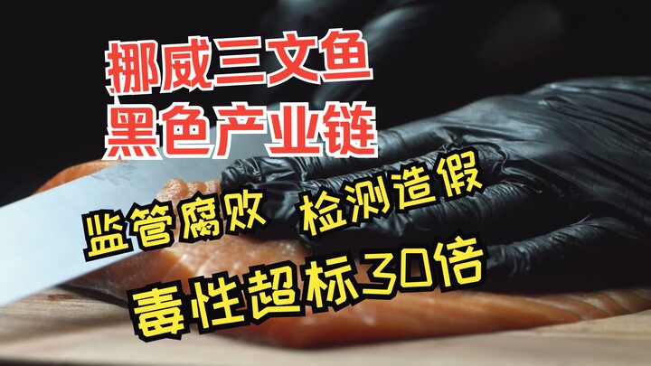 揭露挪威三文鱼的黑色产业链