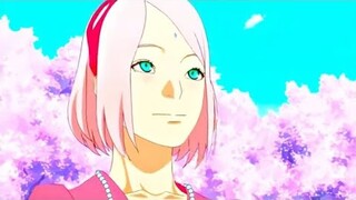 AMV - 1️⃣3️⃣ - 🌸Sakura🌸 Haruno - 🅰️mv