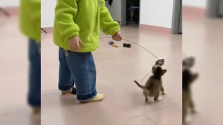 قطة صغيرة ضالة تطلب المساعدة من البشر، وفي هذه اللحظة التقت بإله رحيم القلب