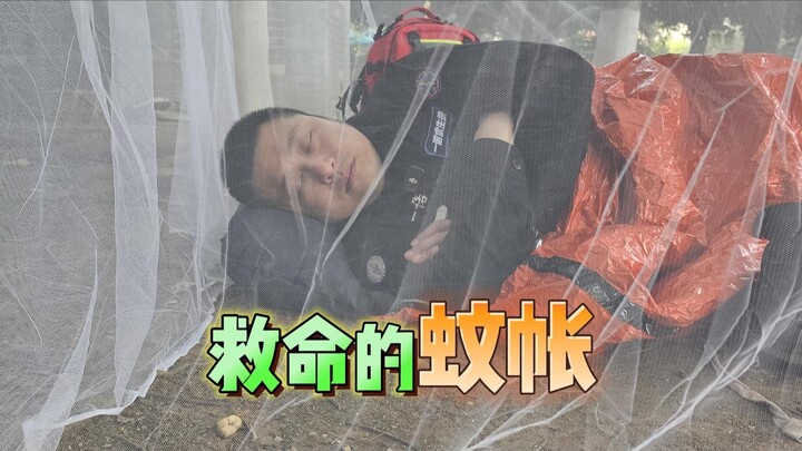 Survival After a Natural Disaster: A Life-Saving Mosquito Net