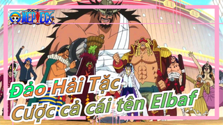 [Đảo Hải Tặc] Băng hải tặc khổng lồ|Chúng tôi đến mở đường cho cậu|Cược cả cái tên Elbaf