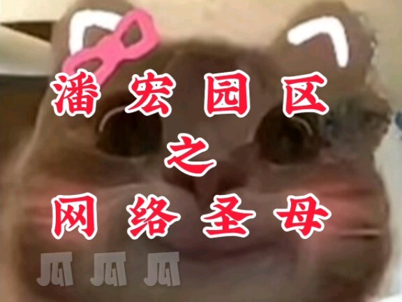 The Internet Madonna of Panhong Industrial Park