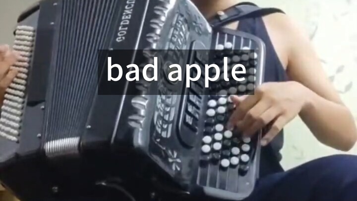 أكورديون باد أبل