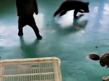 أرعبهم لدرجة أن الجميع وقفوا.