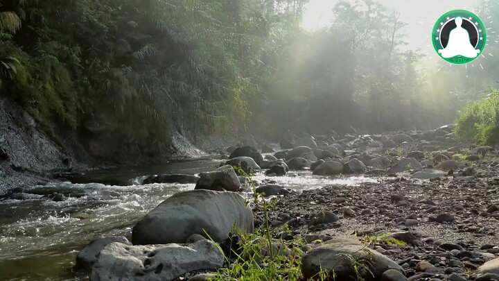 Musik Terapi Otak - Untuk Yoga, Meditasi, Membuat Suasana Tenang, Damai, Rileks 💆🏽‍♂️