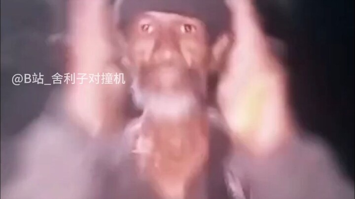 【ชีวิตประจำวันสุดฮาของสิ่งมีชีวิตบนโลก #246】