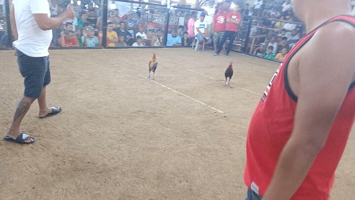 3x winner sbrxperuvian 1hit delete