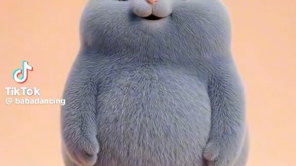 if your bf loves you, he will dance this