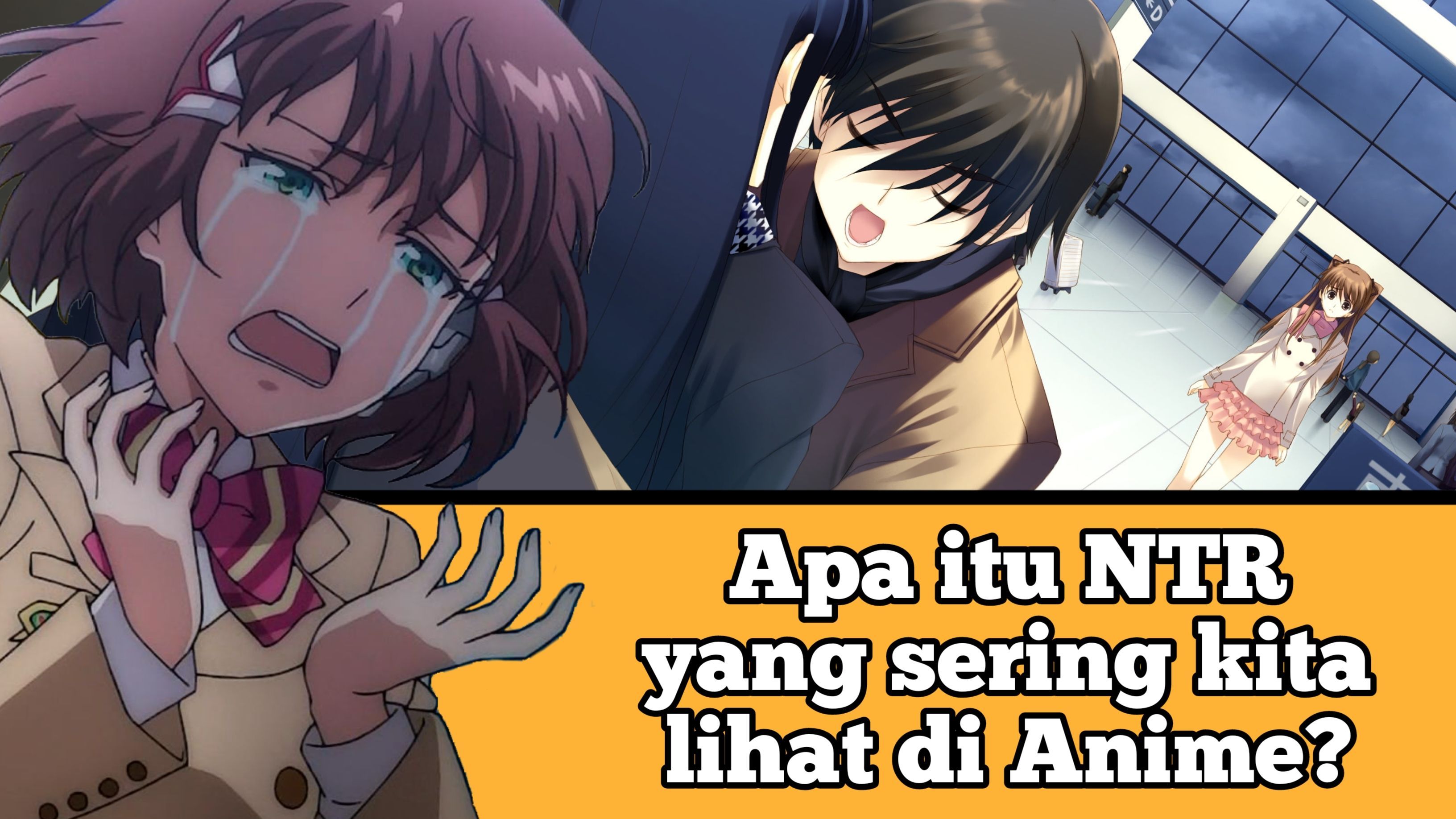 Apa Sih Itu NTR Yang Sering Kita Lihat Di Anime? Bstation, 57% OFF