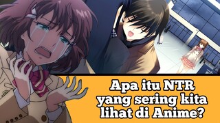 Apa sih Itu NTR yang sering kita lihat di Anime?