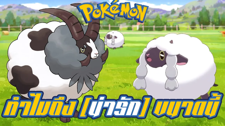 Pokemon Profile Wooluu (Wooloo) Dubwool (Baiwooluu) ทำไมถึงได้น่ารักขนาดนี้ !!!