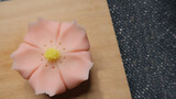 [Wagashi] Làm bánh ngọt thủ công (Hoa anh đào)