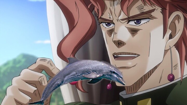 JOJO Do you still want to eat this dolphin?