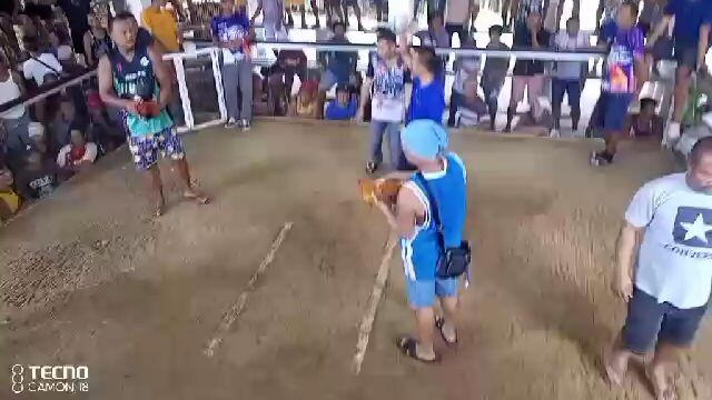 tornado vs gold sweter