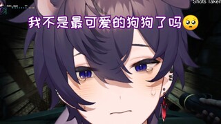 【Shoto熟/切】可 爱 暴 击