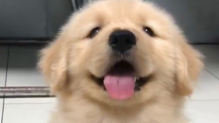 “I unilaterally declare that Little Chickie is the cutest!”