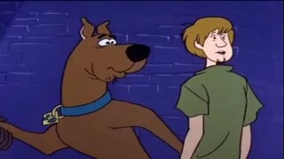 The scooby doo show ตอน ผจญภัยในเวนิส