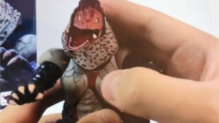 Do you want to buy shf Golzan? ?