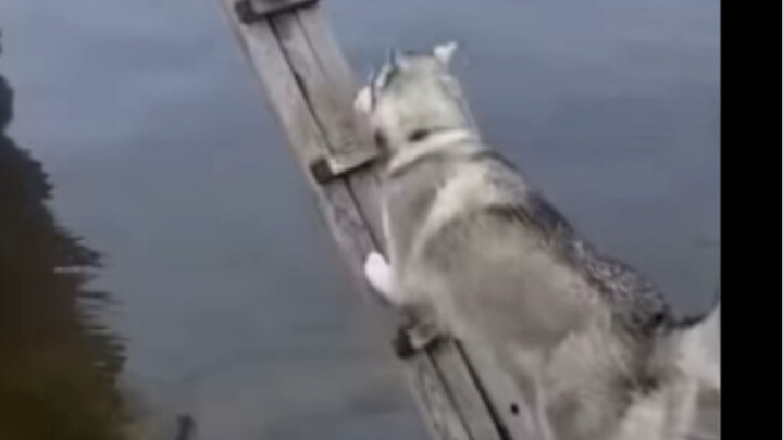 Erha: My mom says it's better to rely on yourself than on others.