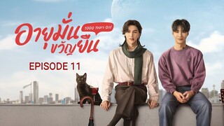 🇹🇭I EP 11 1000 Years Old (2024) English Sub