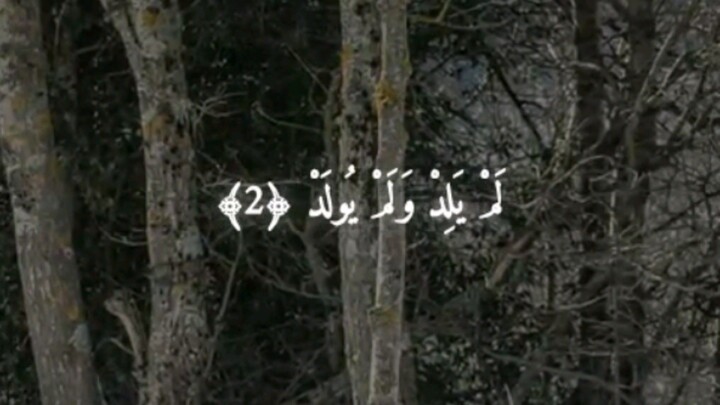 Surah Al Aklas Best Quran Recitation 🤲🤲🤲