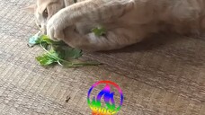 ว่างๆแวะกินผัก