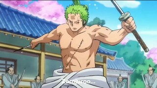 zoro cool🥶