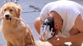 The Confusing Animal Behavior Awards 161