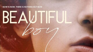 Beautiful Boy (1080P)