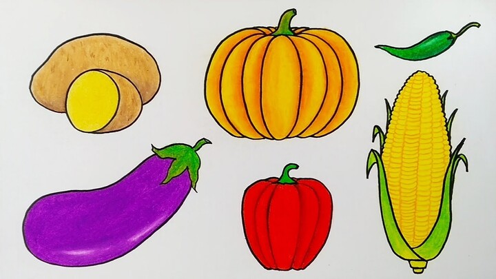 Cara menggambar sayur sayuran || Menggambar dan mewarnai sayuran
