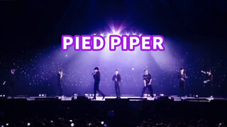 Giải trí|Tự chế ca từ cho "Pied Piper".