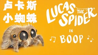 卢卡斯小蜘蛛最新单曲《bu一下》超可爱的