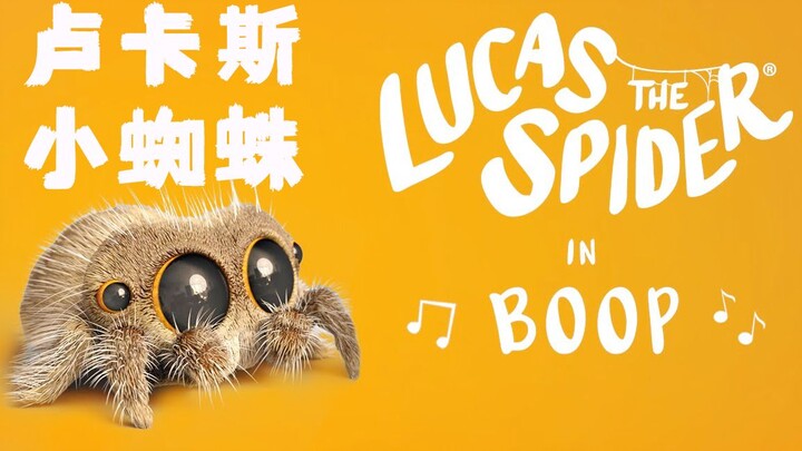 Lucas Spider-Man's latest single "Bu" is super cute