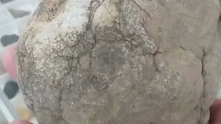 石头做的椰子？网友分享“晶洞”打开的瞬间