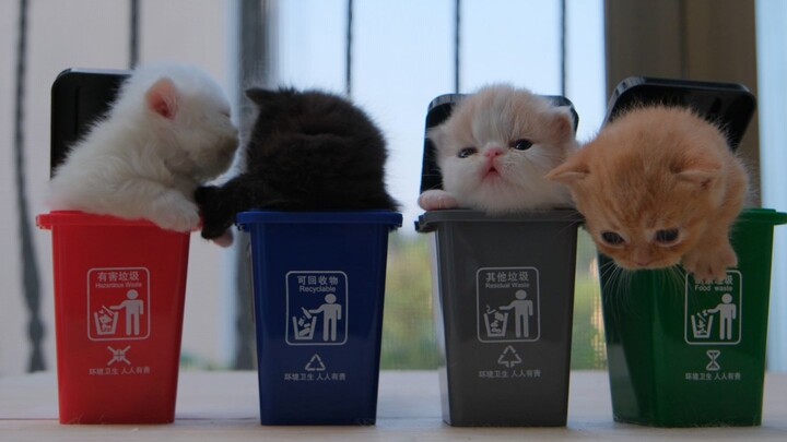 What kind of “trash” do you like?