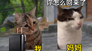 祖母无臣无以终余年#故事源于网络#猫meme剧场#真实还原#童年#小猫
