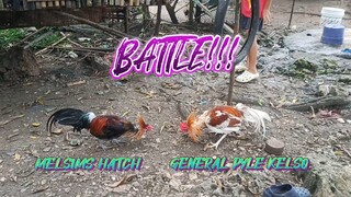 MESLIMS HATCH VS GENERAL PYLE KELSO SPAR!!                                  JRP BACKYARD