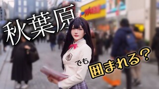 伝説のラノベコスプレで失われた秋葉原を取り戻したい。【わたハズ】