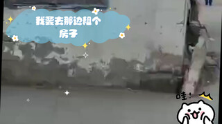 这郊区环境真不错，地址在哪，我要去那边租个房子，没事就耕地遛鸟